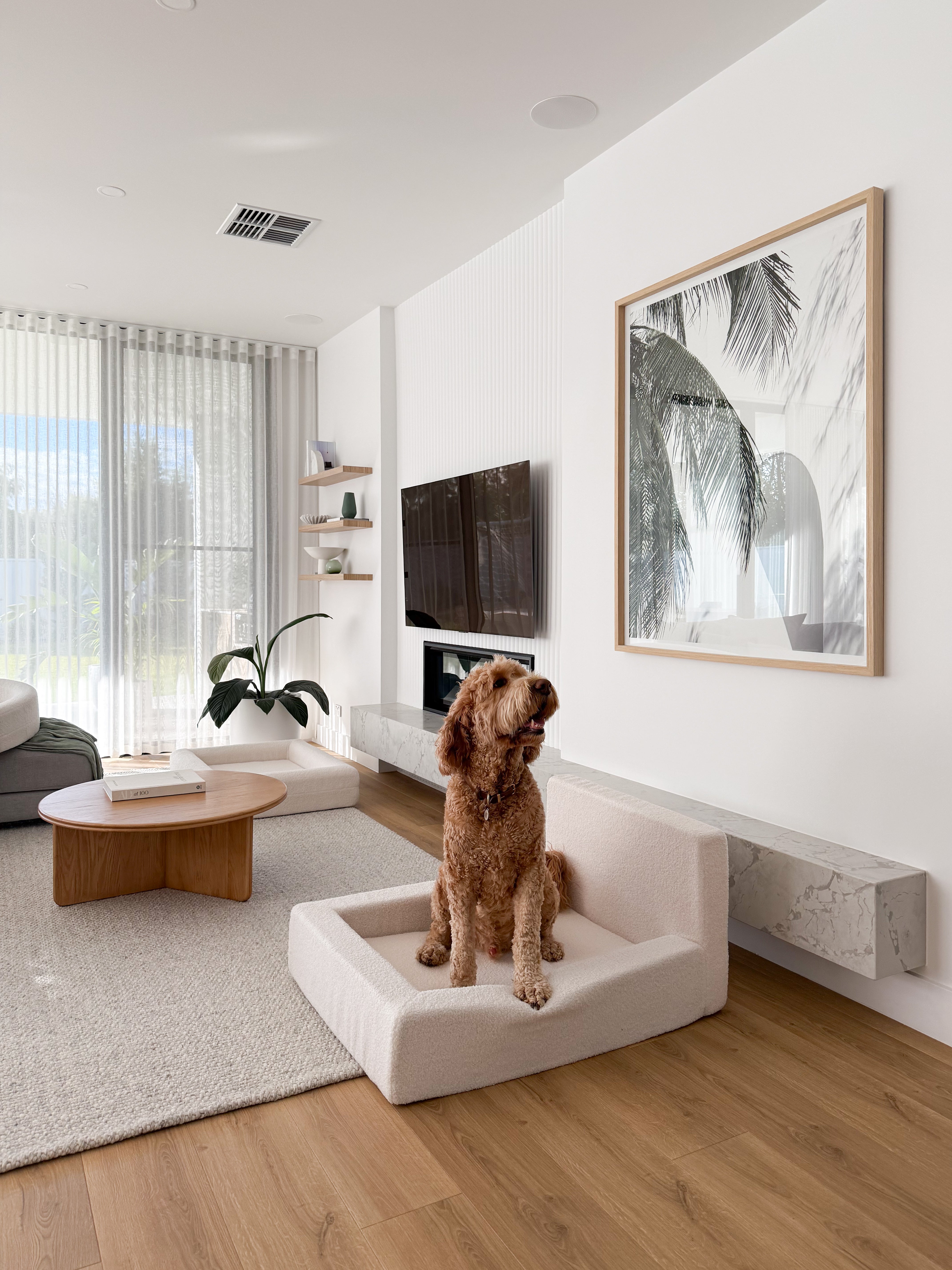 Dream - Dog Bed with Washable Cover