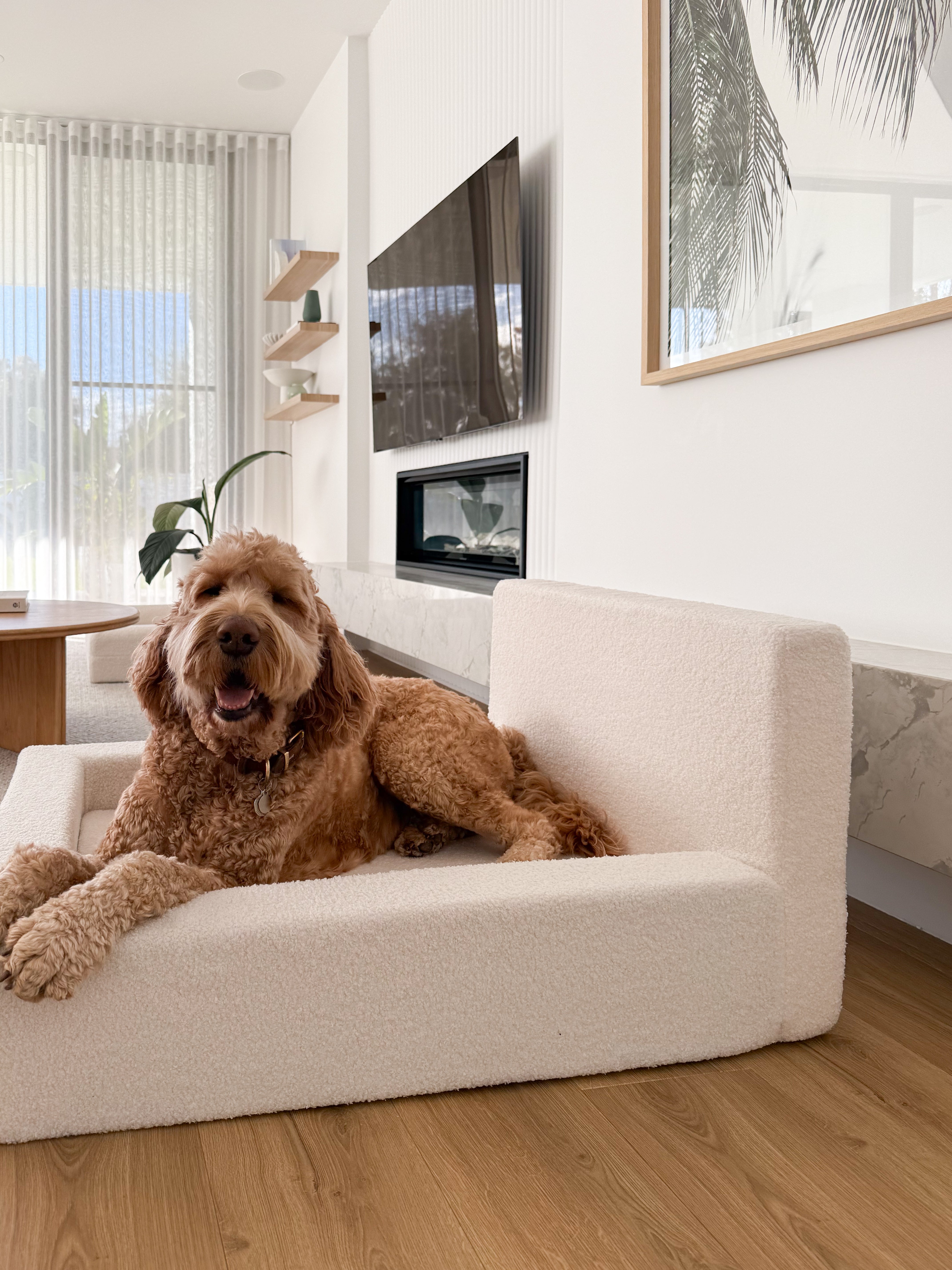 Dream - Dog Bed with Washable Cover