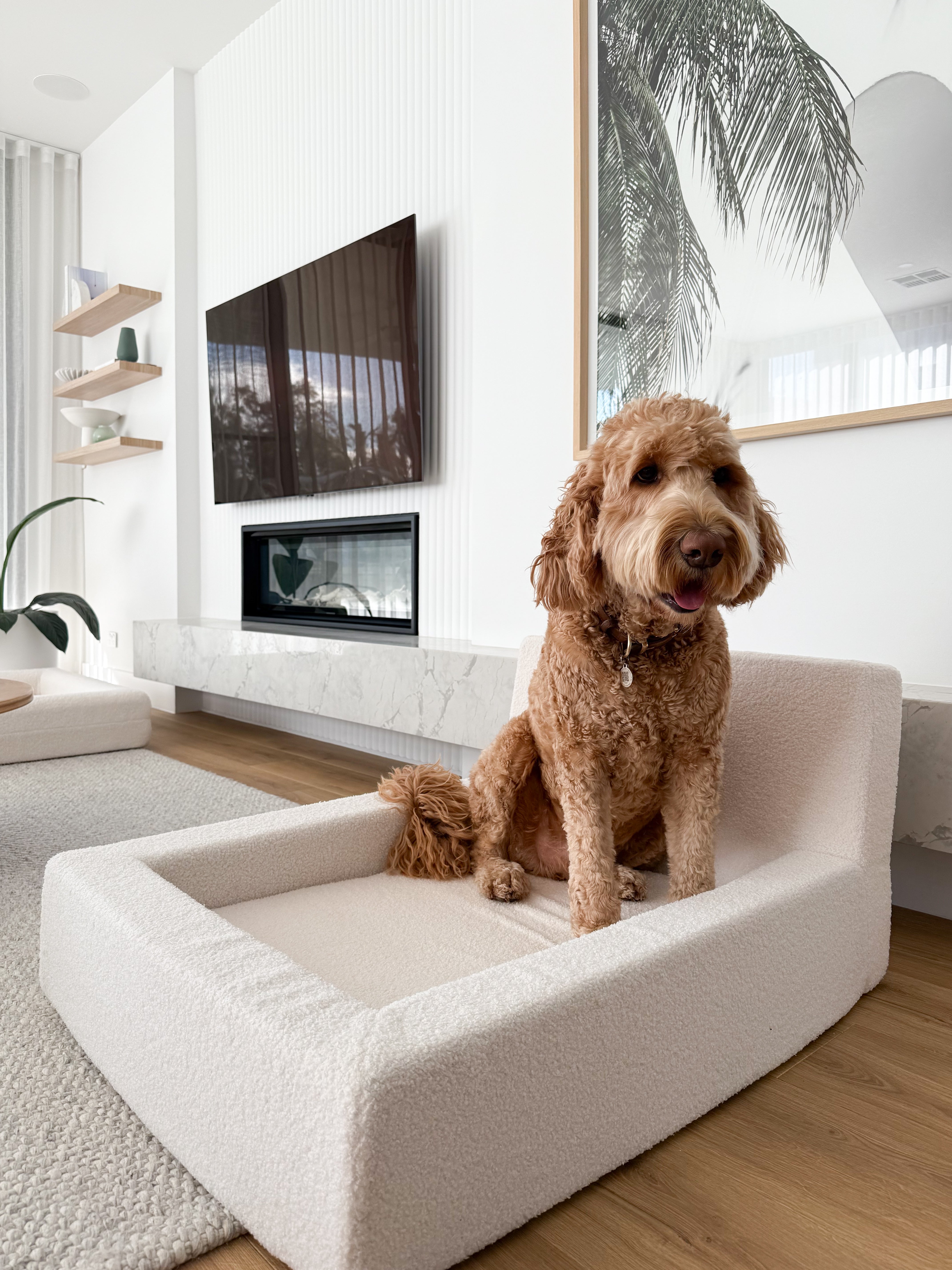 Dream - Dog Bed with Washable Cover