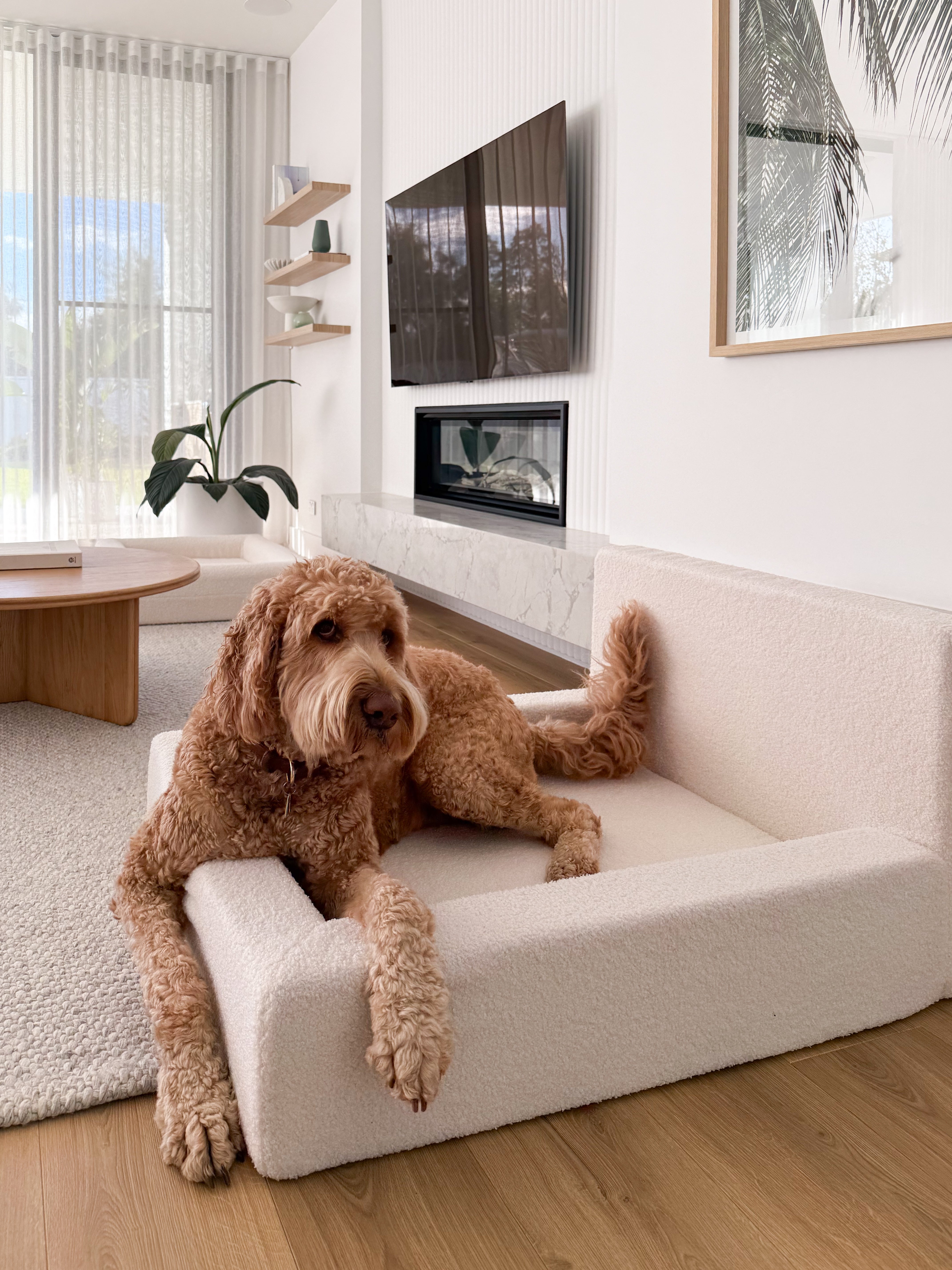 Dream - Dog Bed with Washable Cover