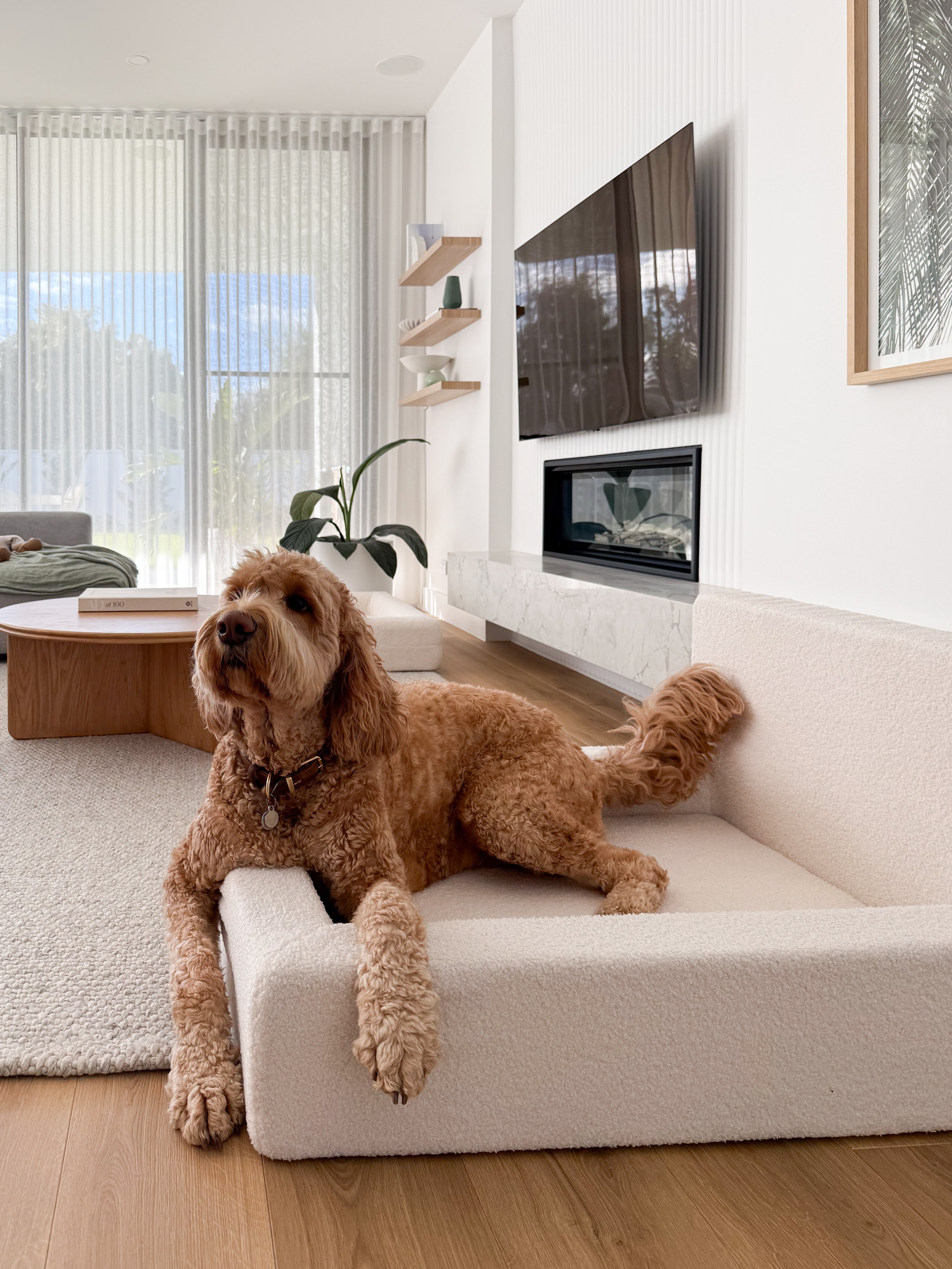 Dream - Dog Bed with Washable Cover