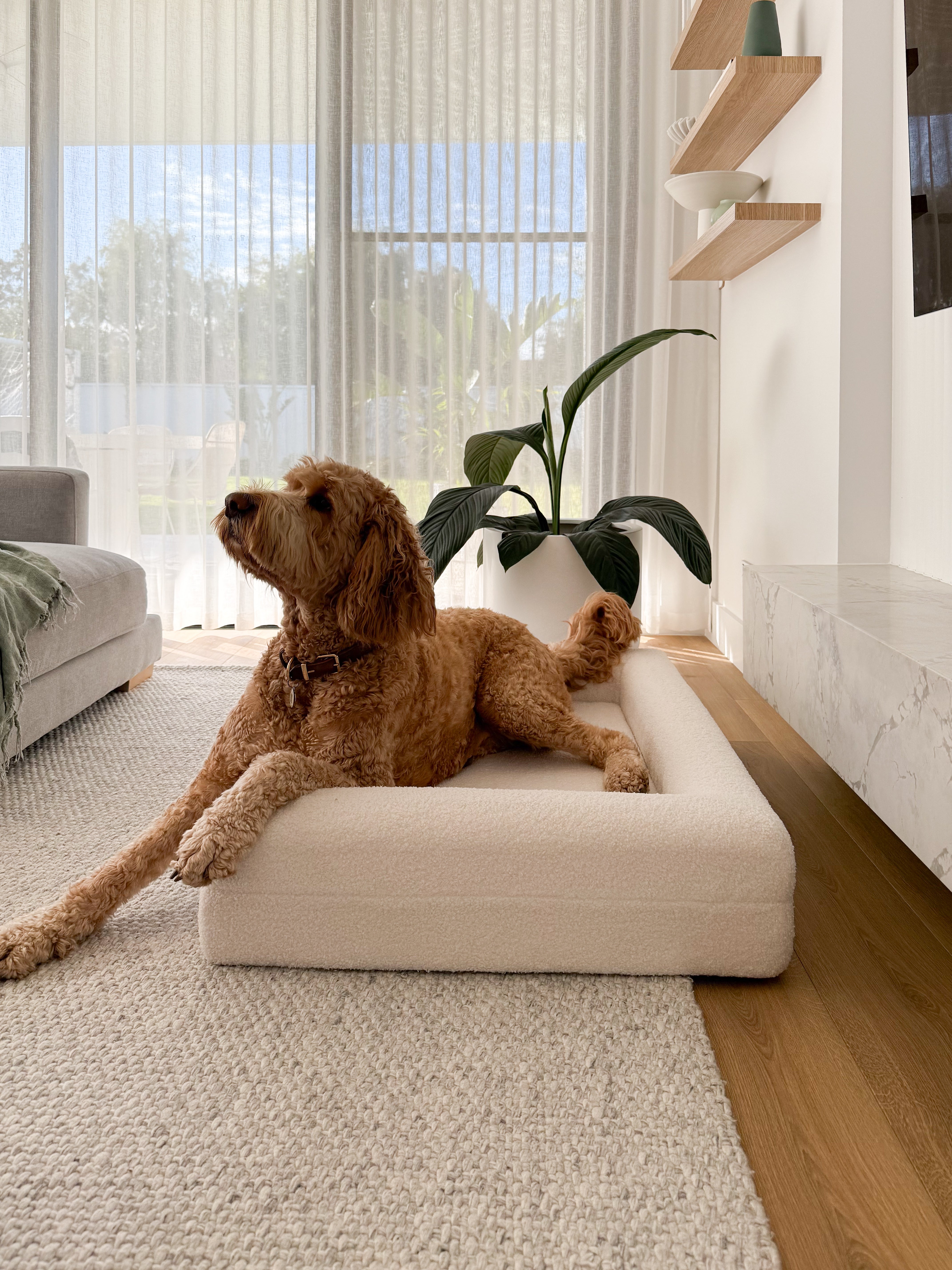 Classic Rectangular Dog Bed