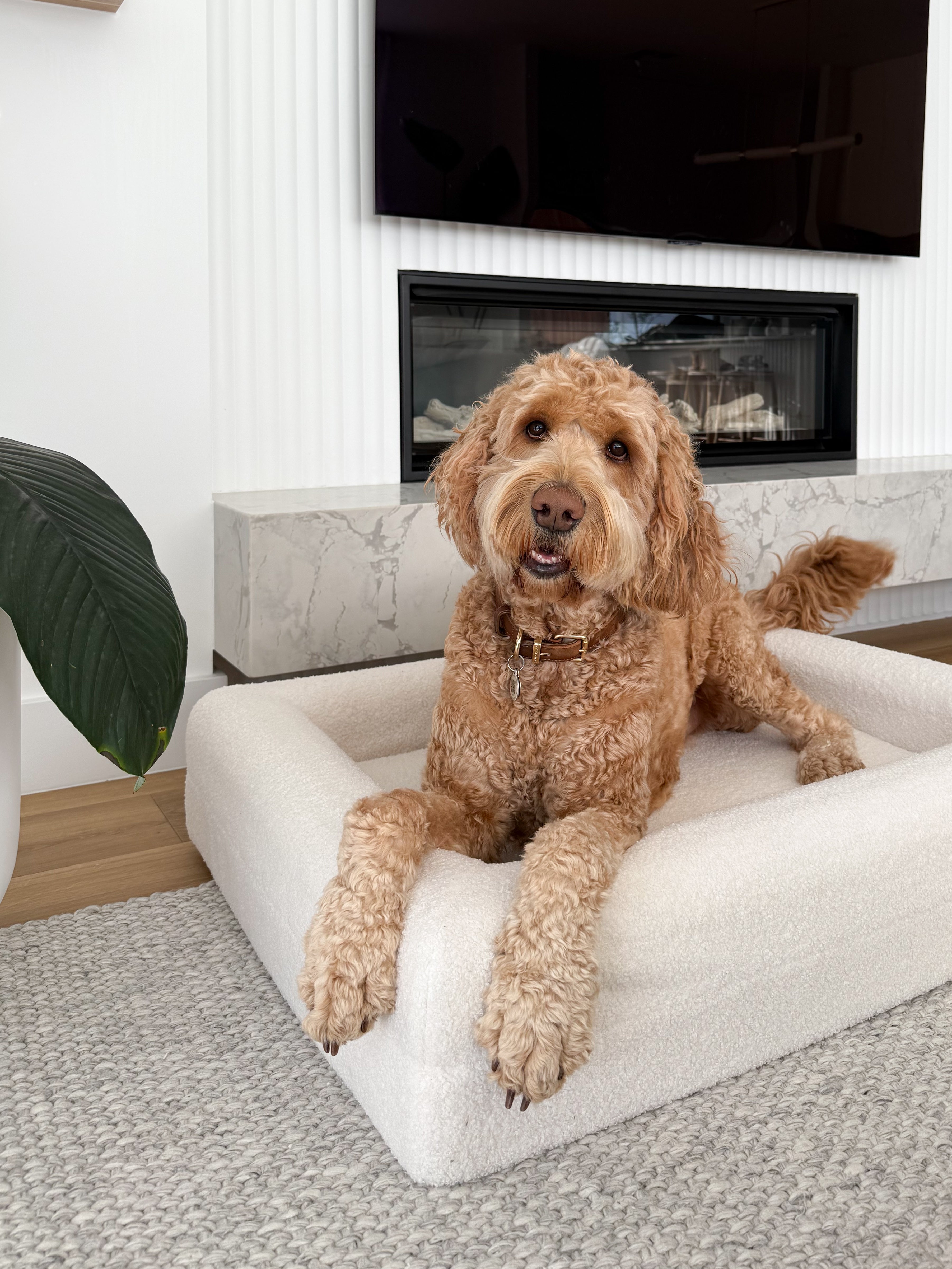 Classic Rectangular Dog Bed
