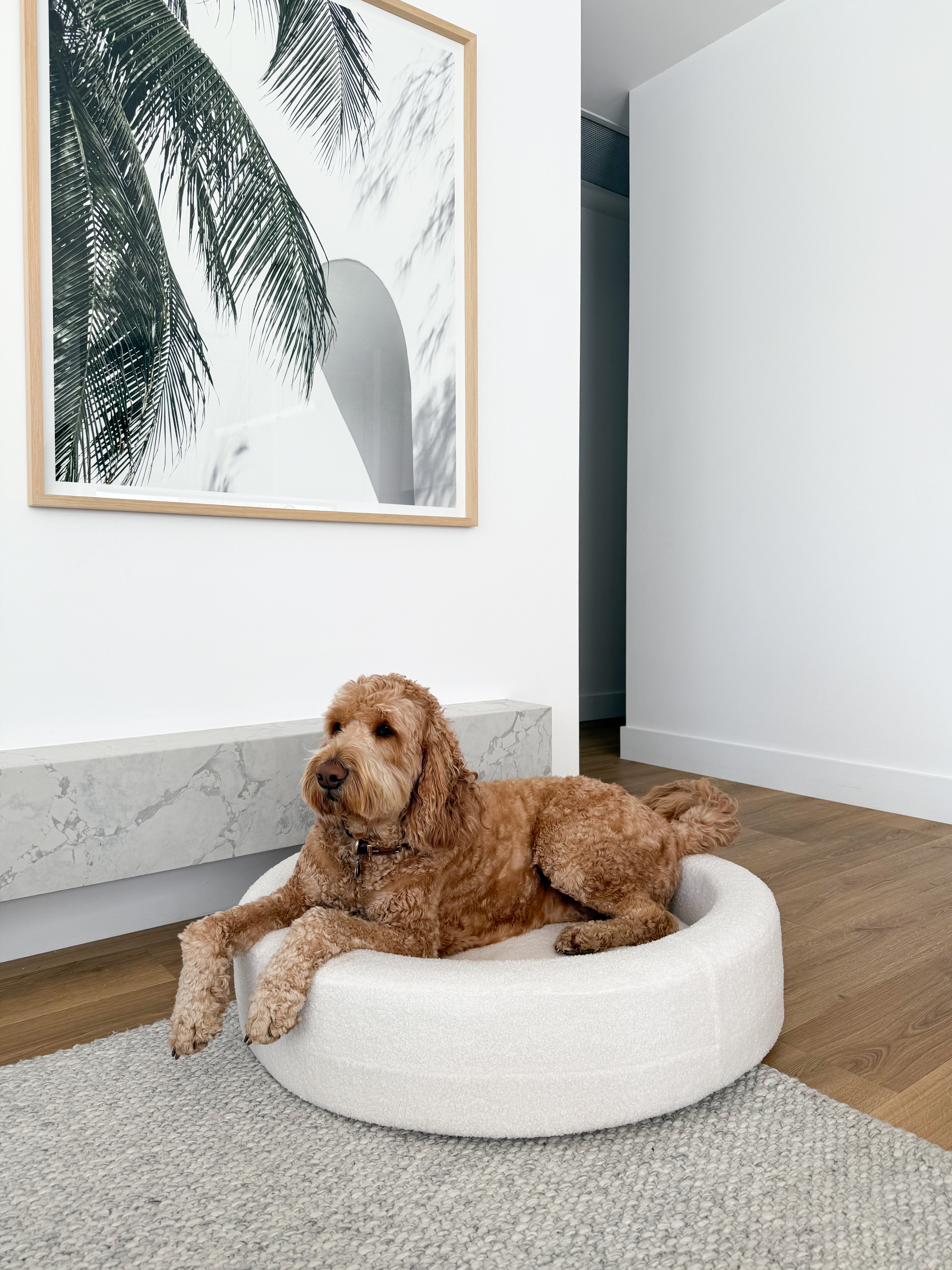 Curl - Round Dog Bed
