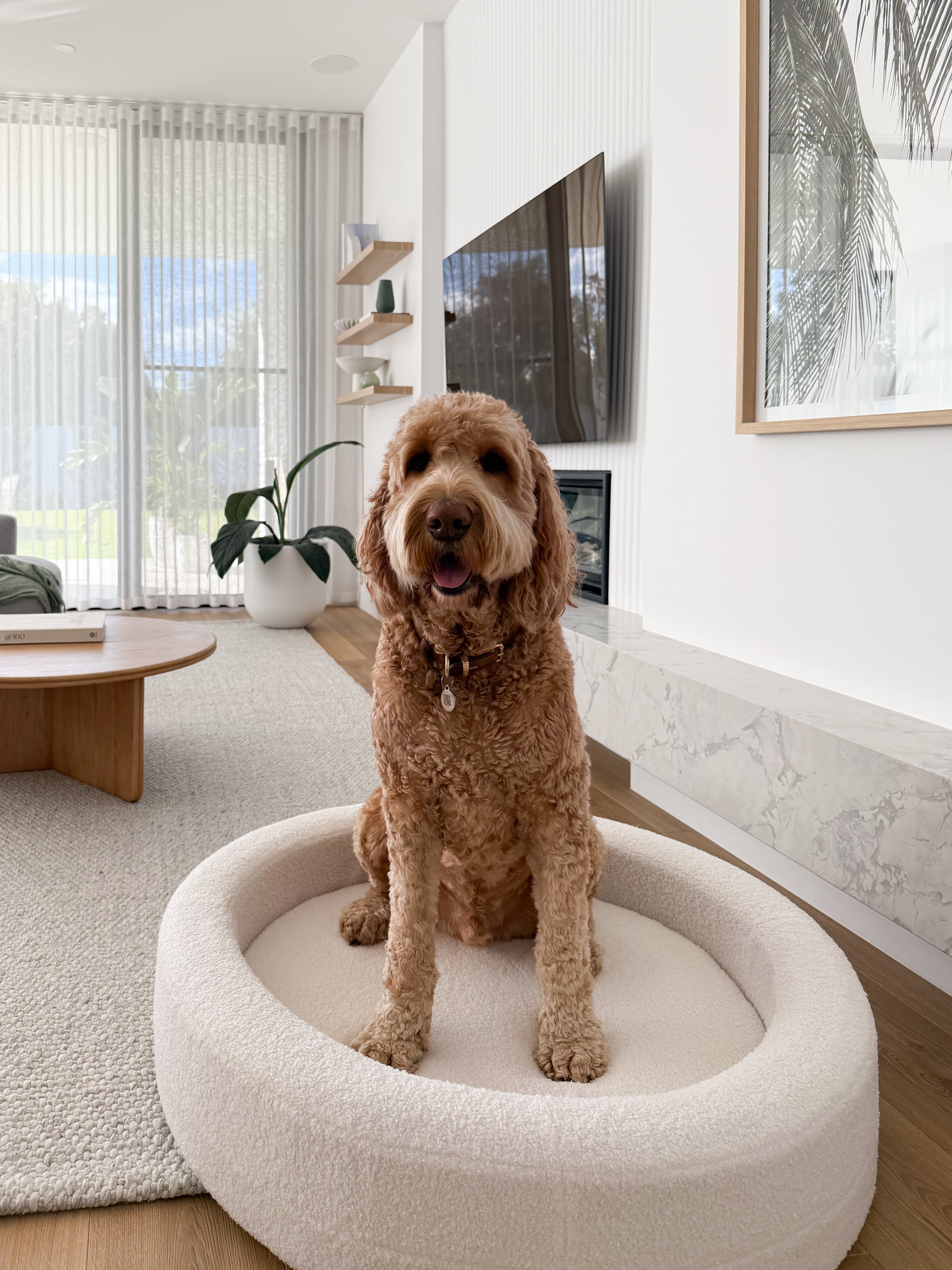 Curl - Round Dog Bed