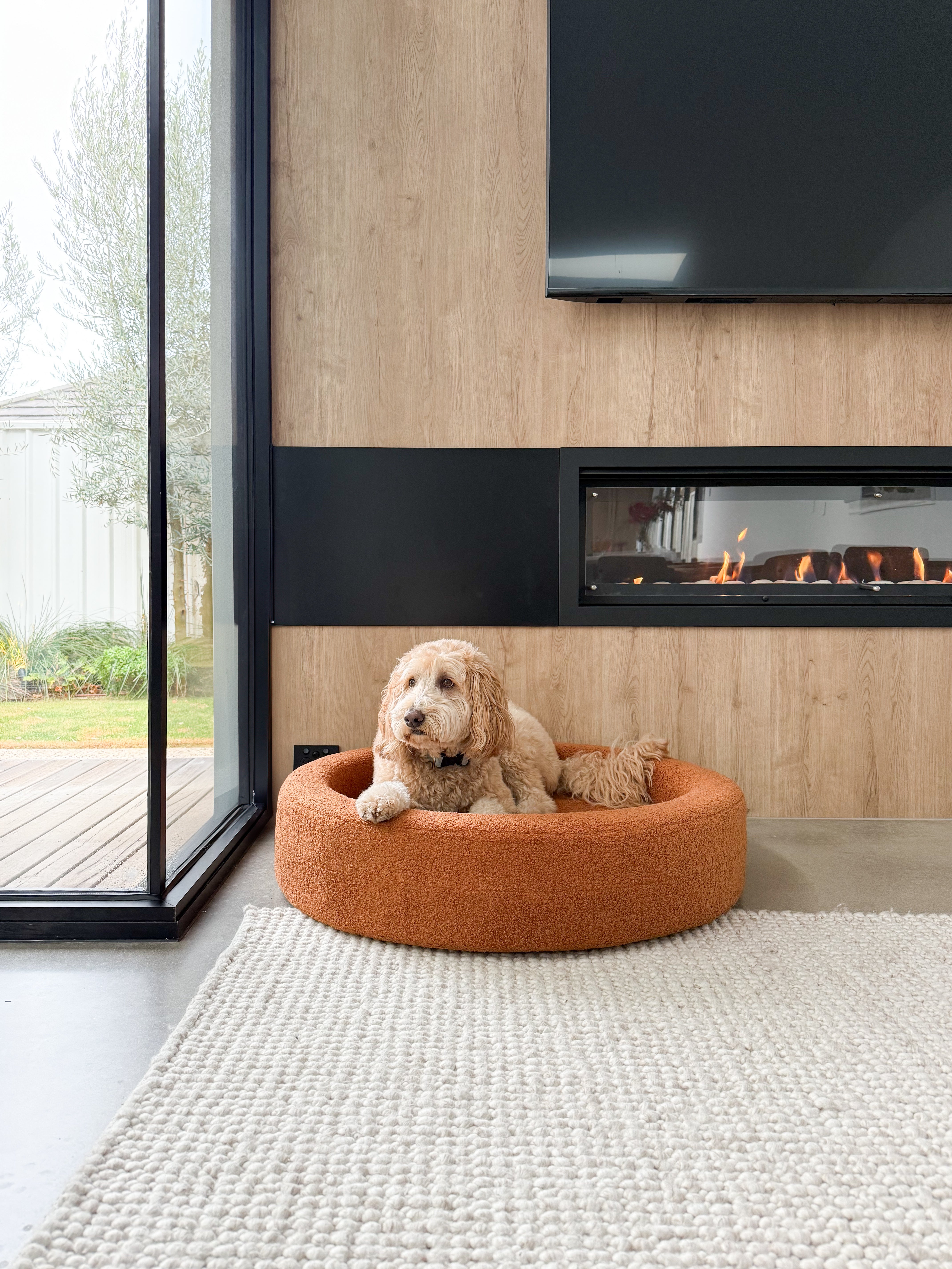 Curl Round Dog Bed