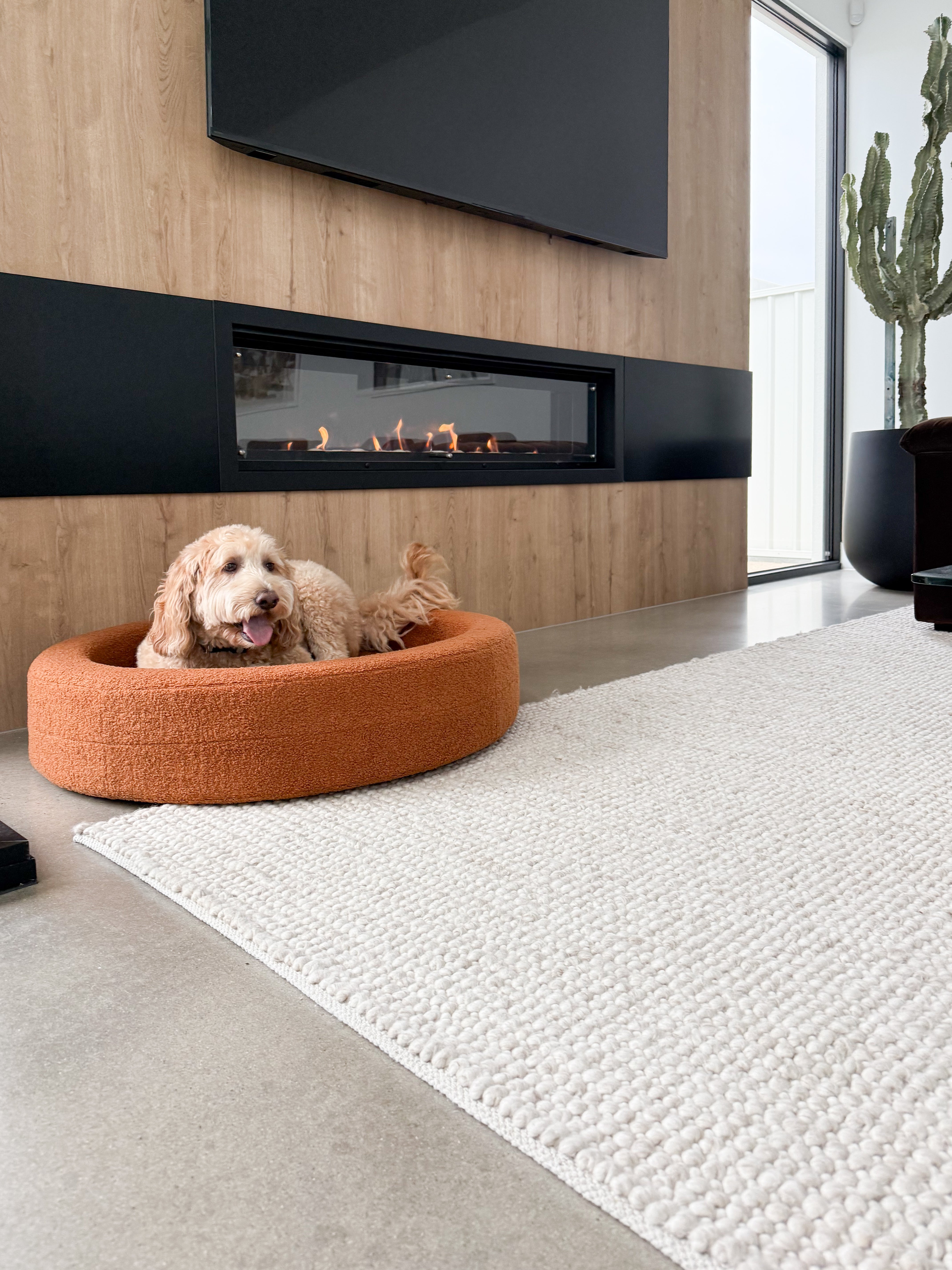 Curl - Round Dog Bed