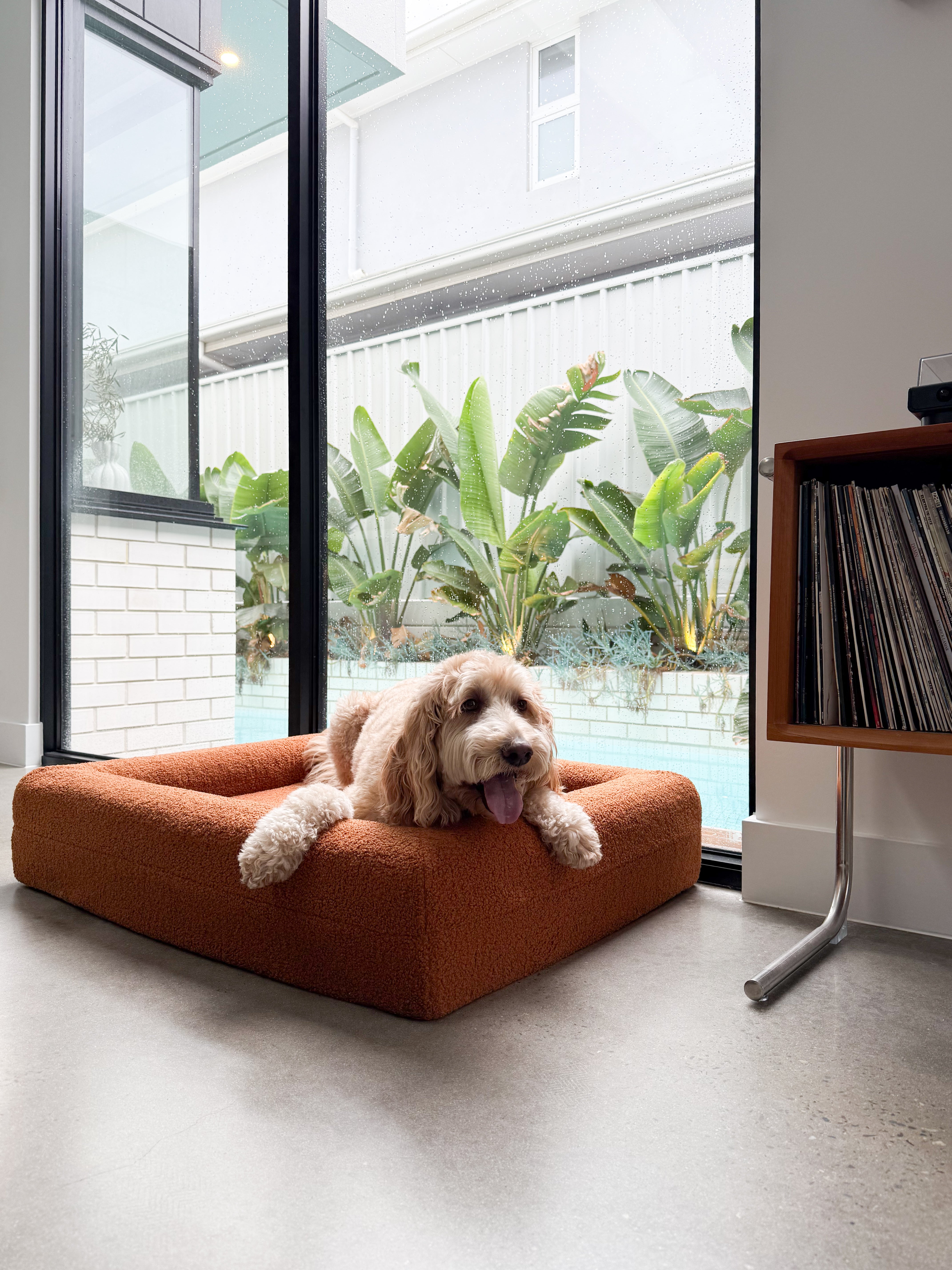 Classic Rectangular Dog Bed