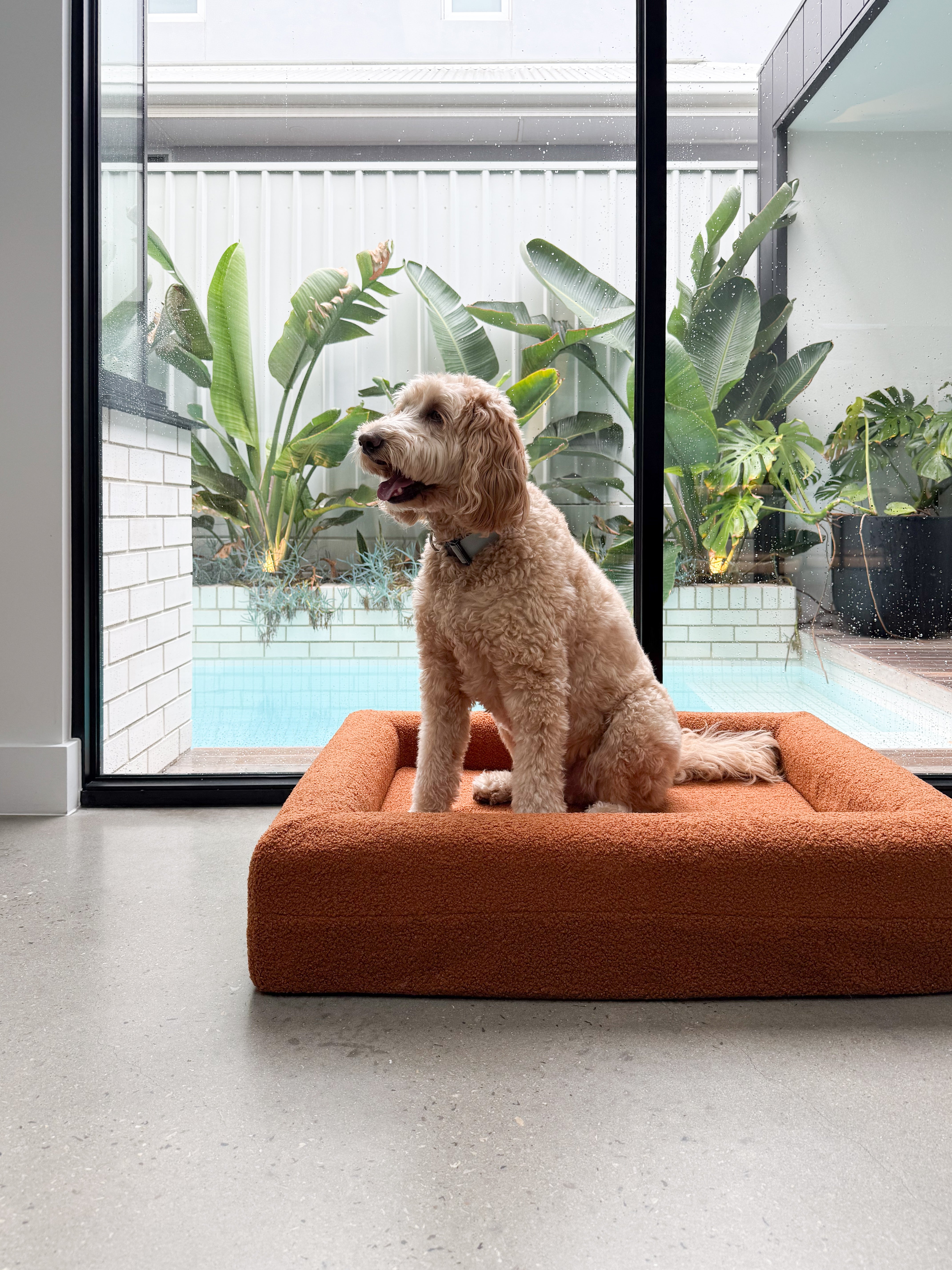 Classic Rectangular Dog Bed