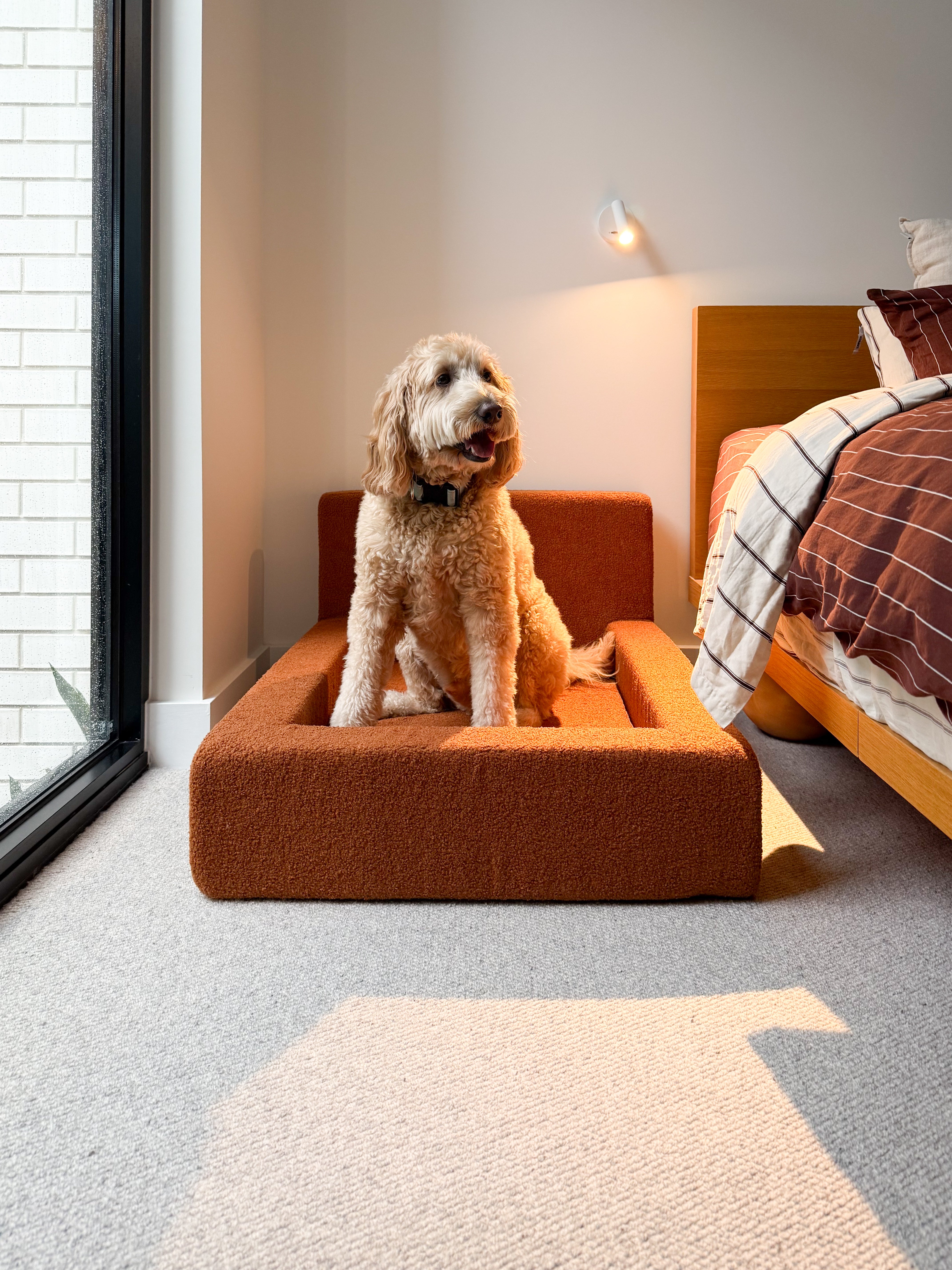 Dream - Dog Bed with Washable Cover
