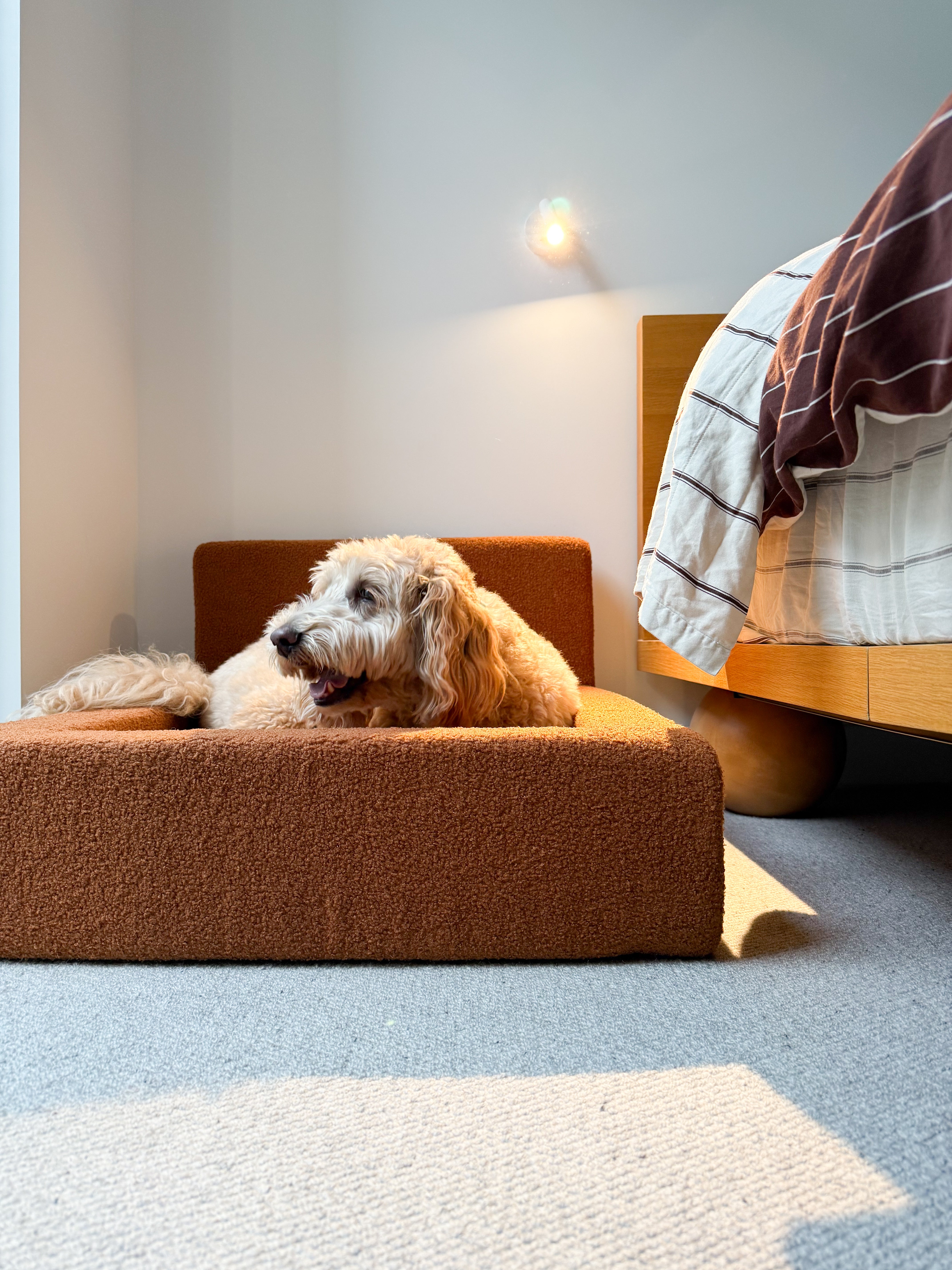 Dream - Dog Bed with Washable Cover