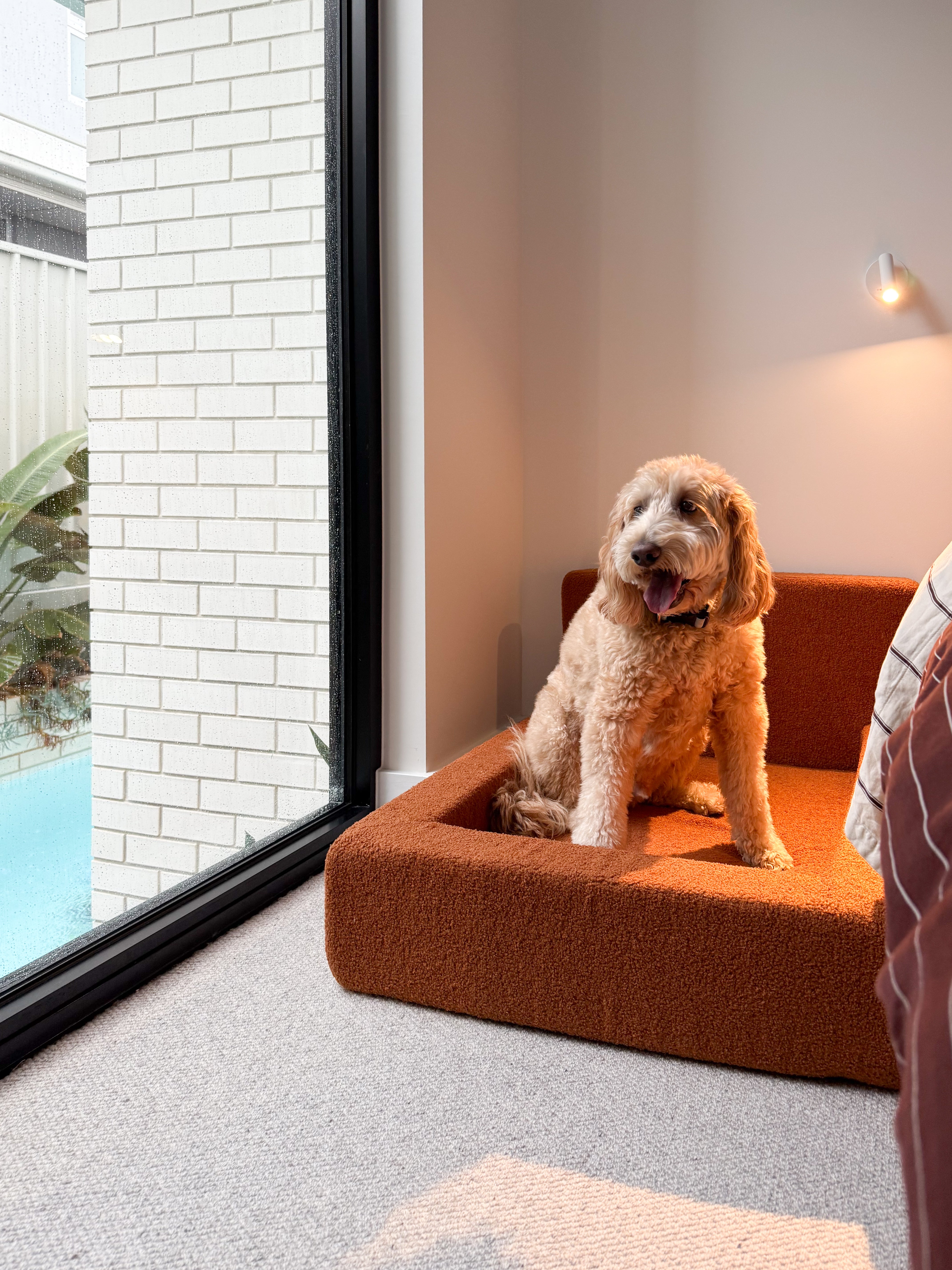 Dream - Dog Bed with Washable Cover