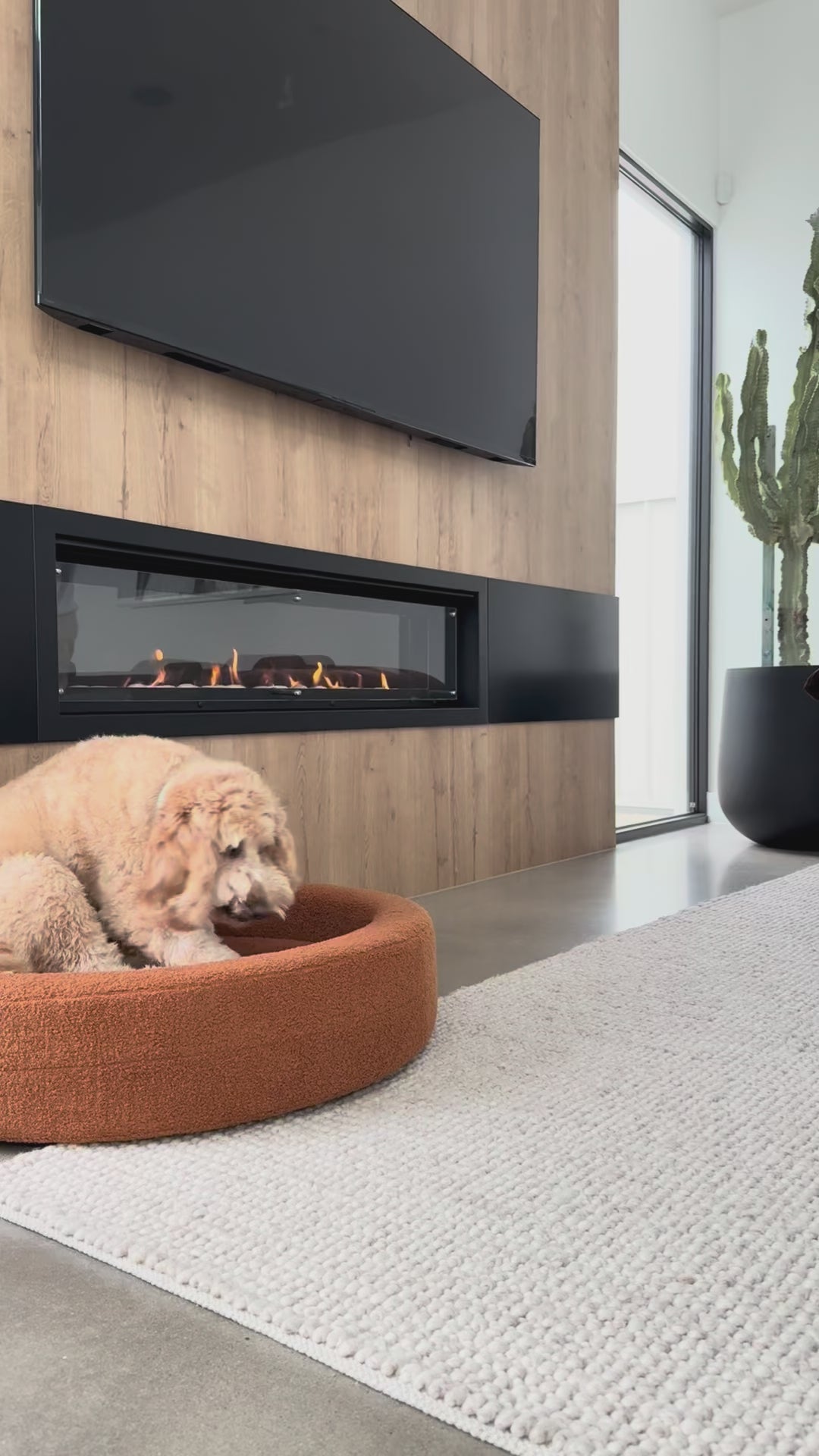 Curl - Round Dog Bed