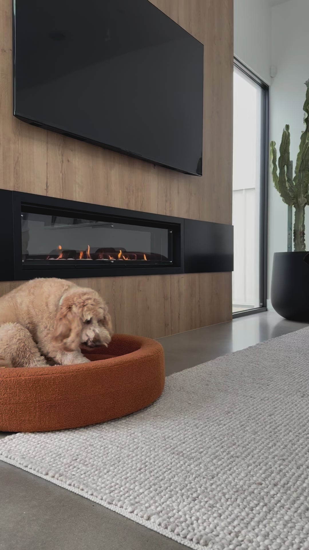 Curl - Round Dog Bed