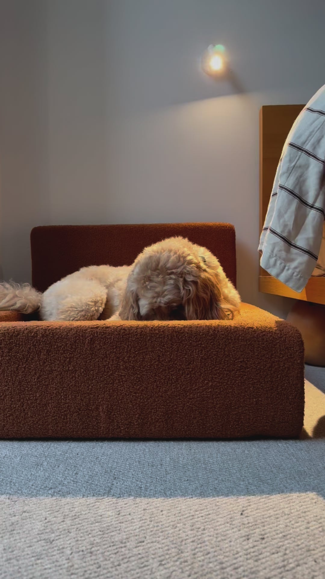 Dream - Dog Bed with Washable Cover