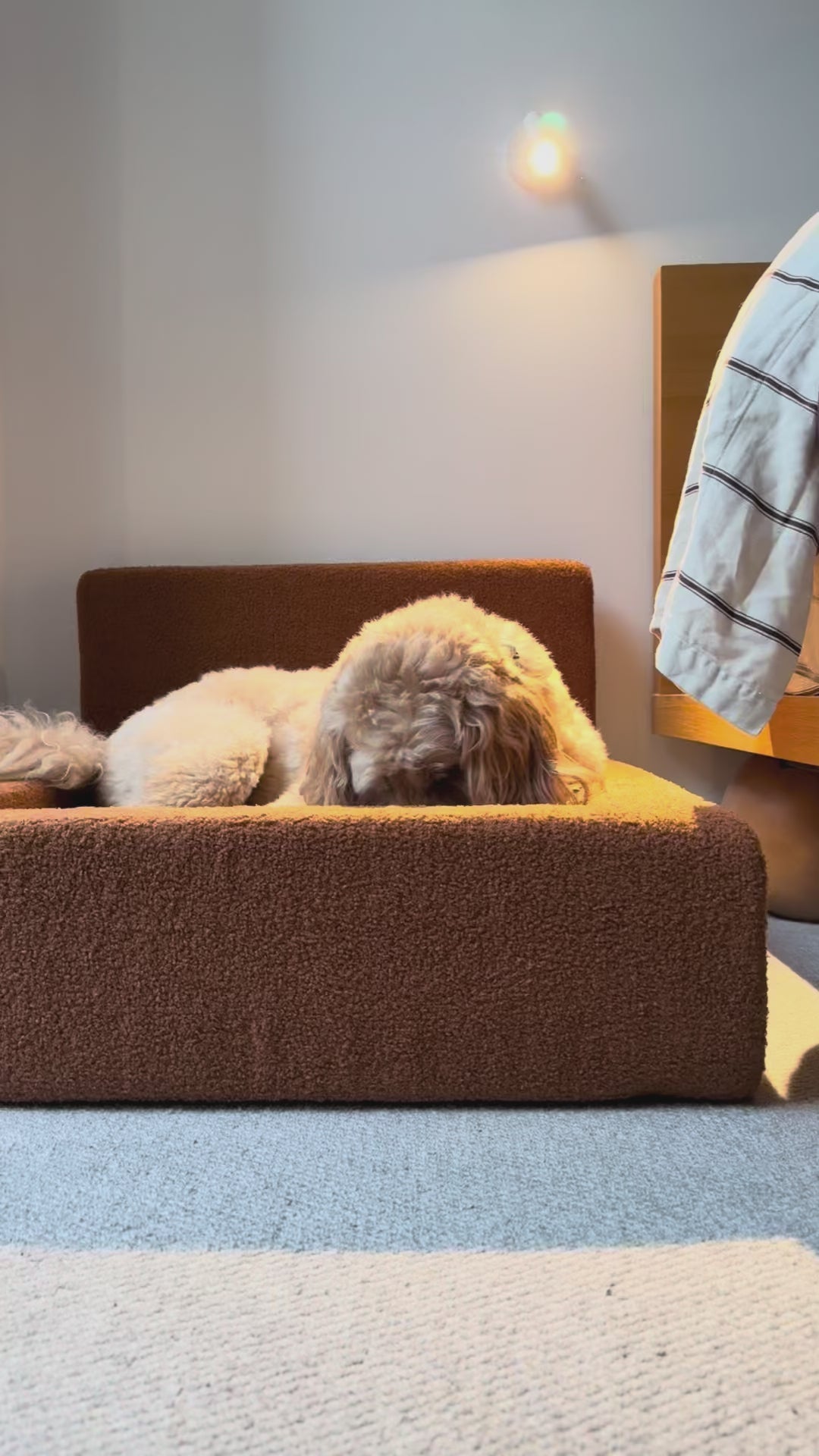 Dream - Dog Bed with Washable Cover